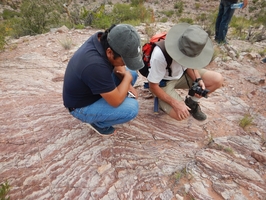 Bolivien: SES-Experte Dr. Gerd Muckelbauer im Einsatz.